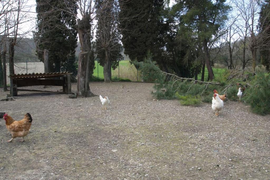 Casa Vacanze Podere San Giusto Βολτέρρα Εξωτερικό φωτογραφία