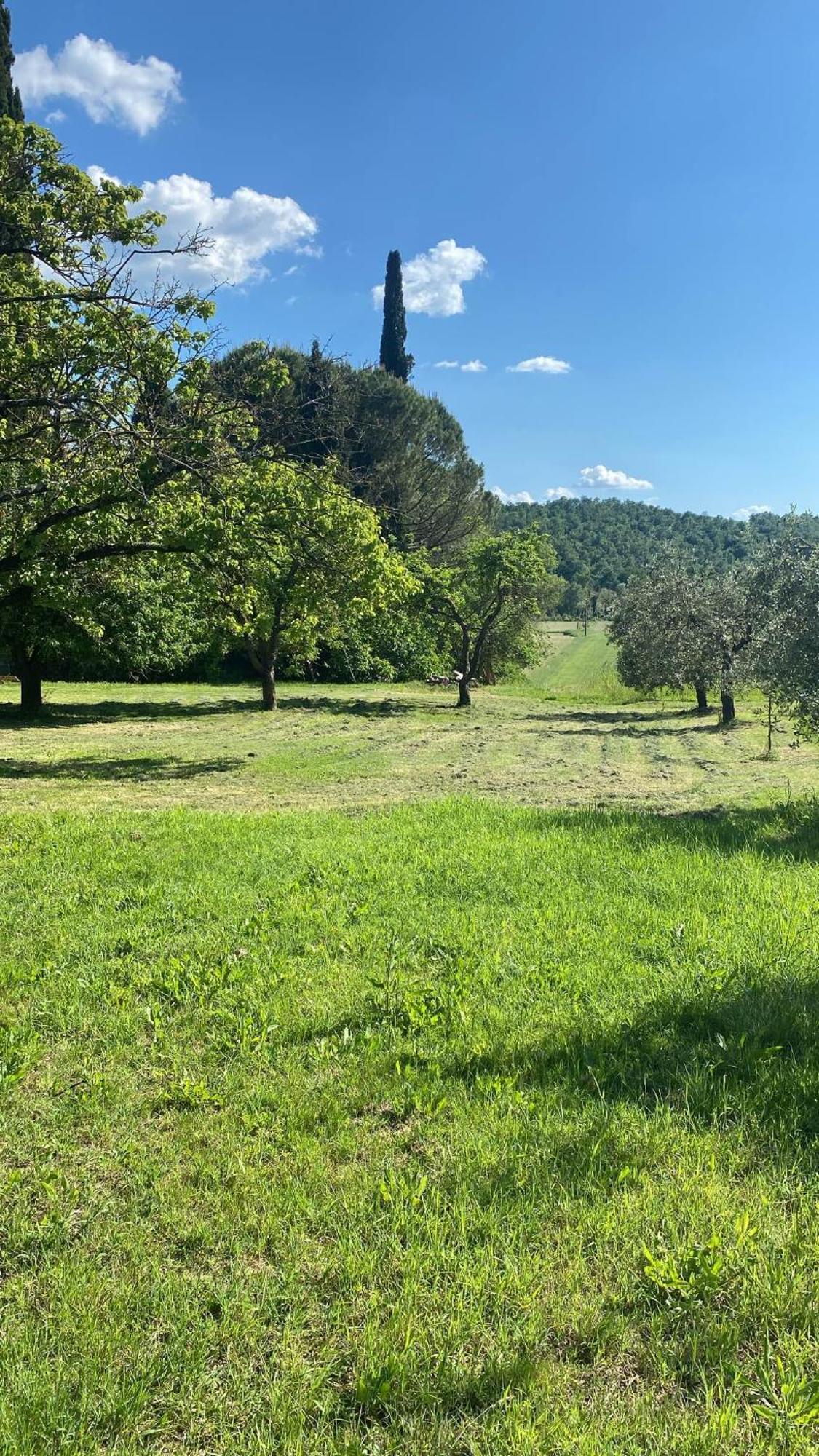 Casa Vacanze Podere San Giusto Βολτέρρα Εξωτερικό φωτογραφία