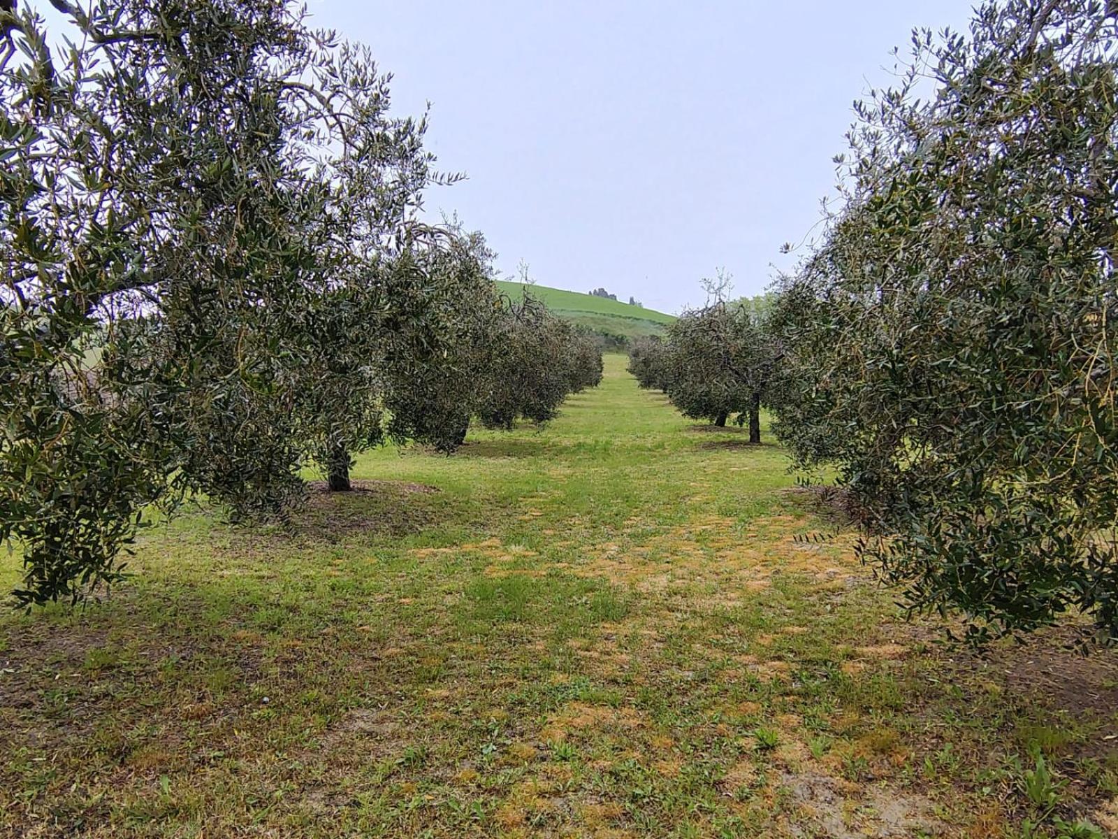 Casa Vacanze Podere San Giusto Βολτέρρα Εξωτερικό φωτογραφία