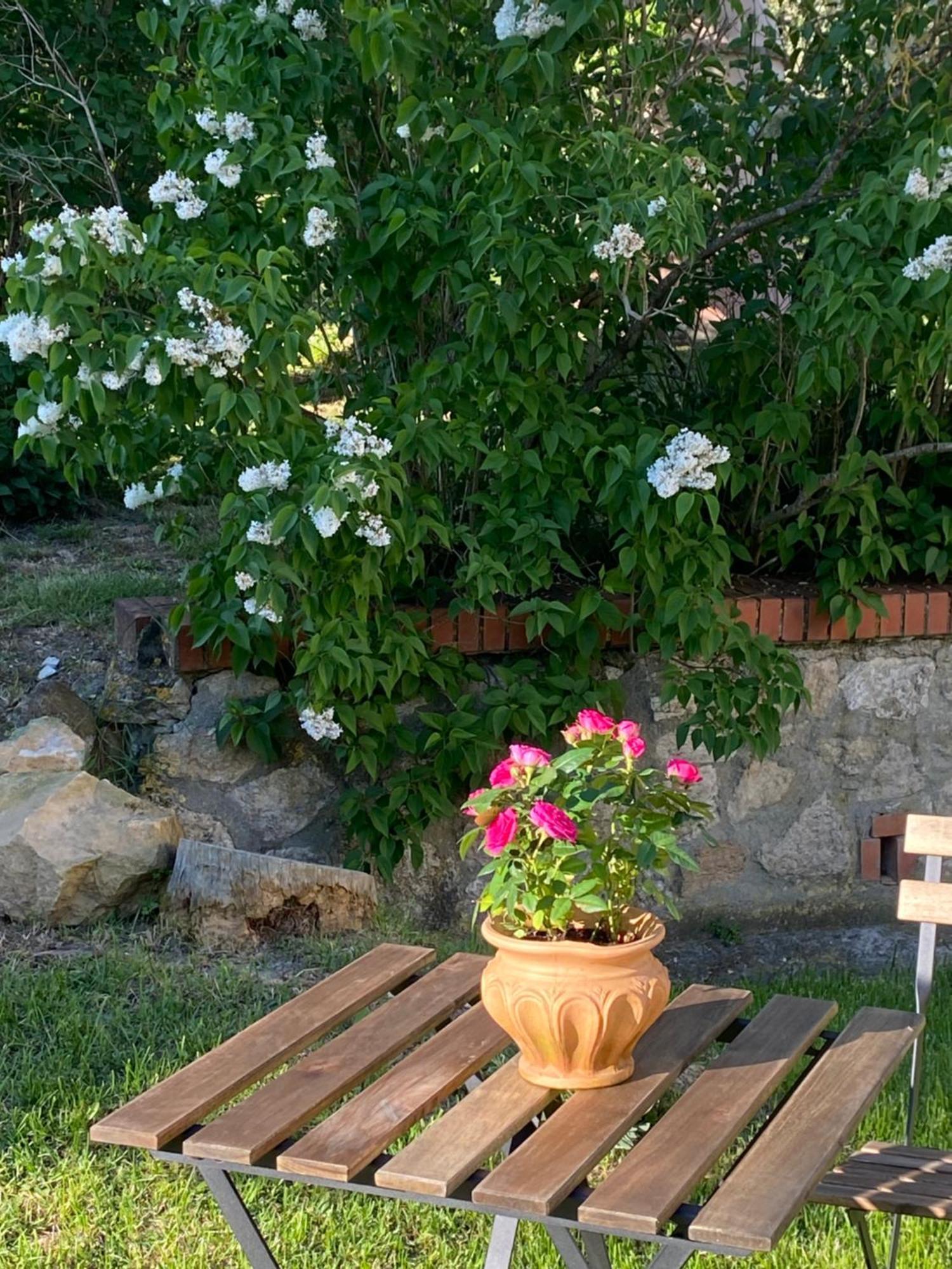 Casa Vacanze Podere San Giusto Βολτέρρα Εξωτερικό φωτογραφία